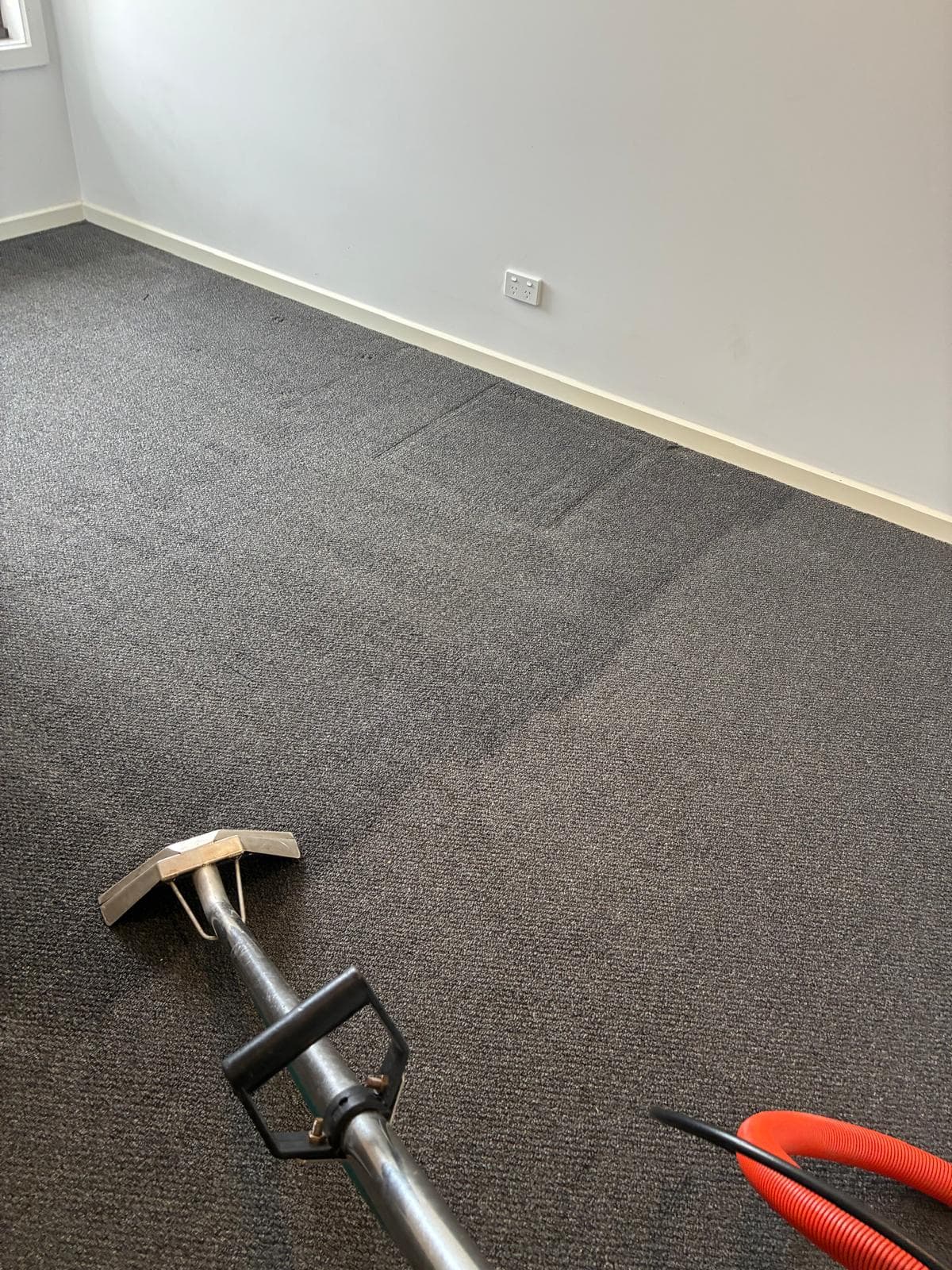 Carpet steam cleaned to perfection